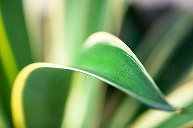 先菌子后小人 模拟游戏《羊肚菌：猎人2》现已正式发售